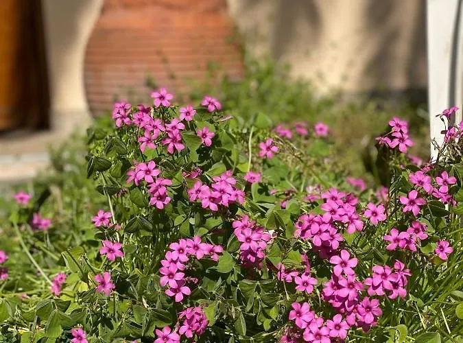 Elsa Haus Lägenhet Potos