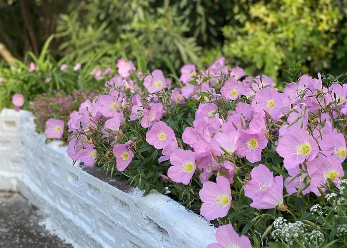 Lägenhet Elsa Haus Potos