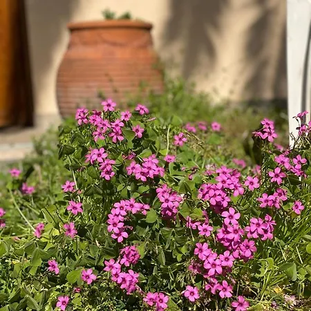 Elsa Haus Apartmán Potos