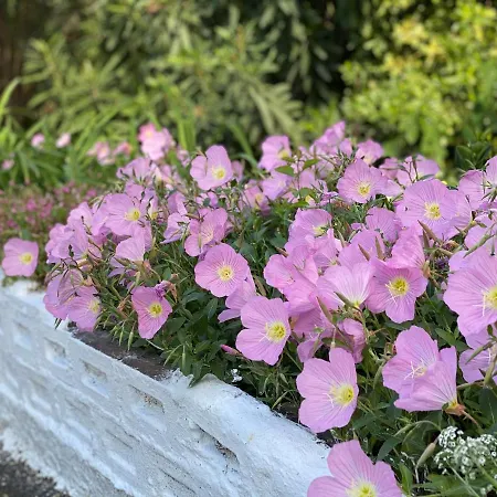 Apartmán Elsa Haus Potos