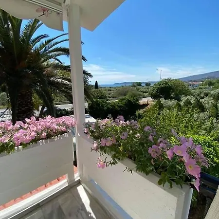 Elsa Haus * 포토스