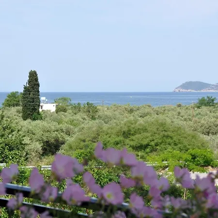 Elsa Haus Apartmán *