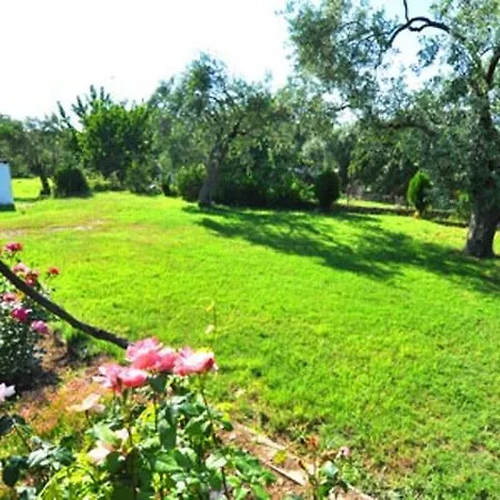 Apartamento Elsa Haus