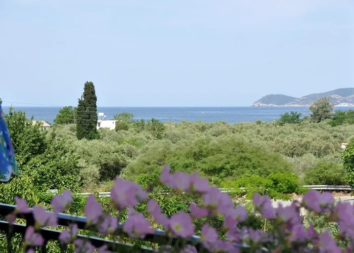 艾尔莎之家公寓 公寓 *