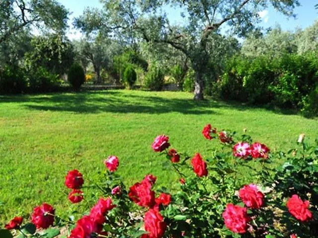 艾尔莎之家公寓